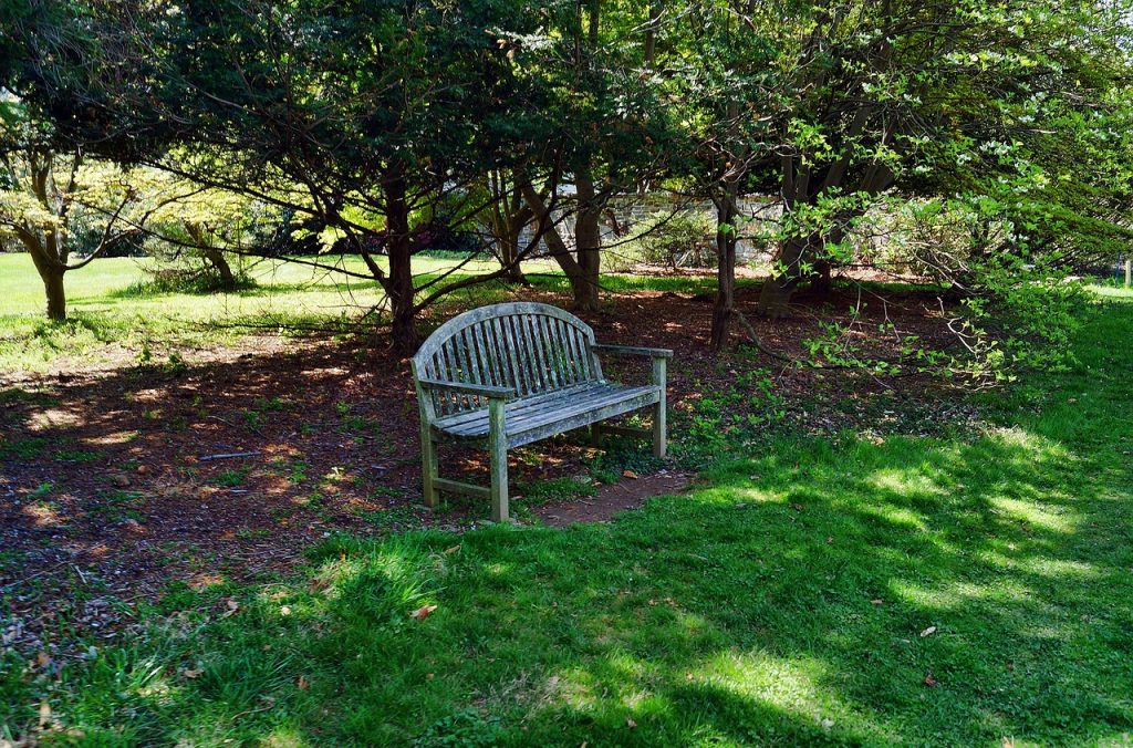 bench, park, seating-224424.jpg